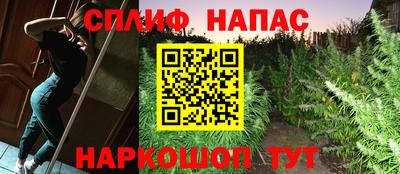 крисы Тверь