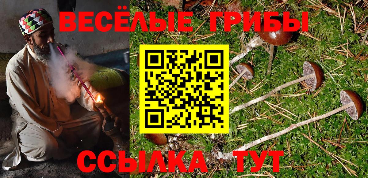 Галлюциногенные грибы ЛСД Новочебоксарск